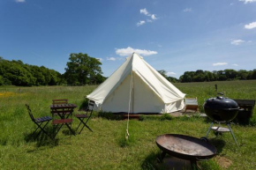 Blissful Bell Tent - Violet